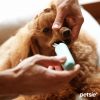 Petsie toothbrush for dogs ( S size, -10kg)