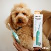 Petsie toothbrush for dogs (M size 10-20kg)